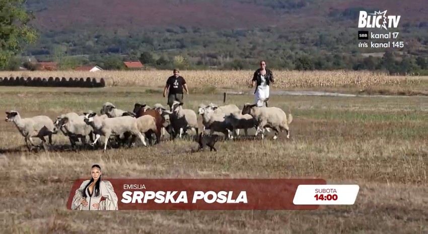 Srpska posla