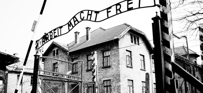Anglicy wynieśli pamiątki więźniów Auschwitz. Grozi im 10 lat więzienia