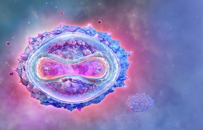 Małpia ospa mutuje i rozlewa się na kolejne kraje. Jakie są objawy choroby?