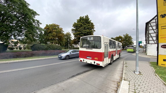 Autobus Jelcz M-11 i tramwaj typu 6ZGTW "Helmut" wożą pasażerów w Gorzowie