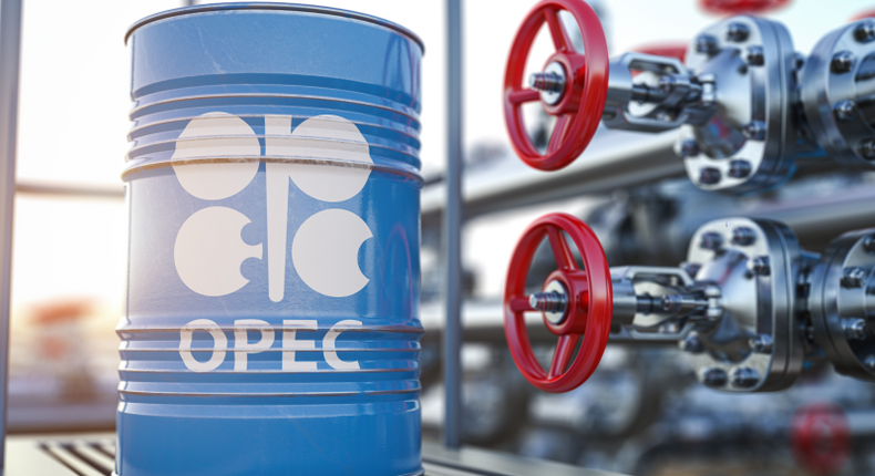 What new OPEC development fund for green sustainability means for Uganda