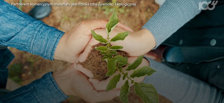 Jak rolnictwo ekologiczne ratuje planetę?