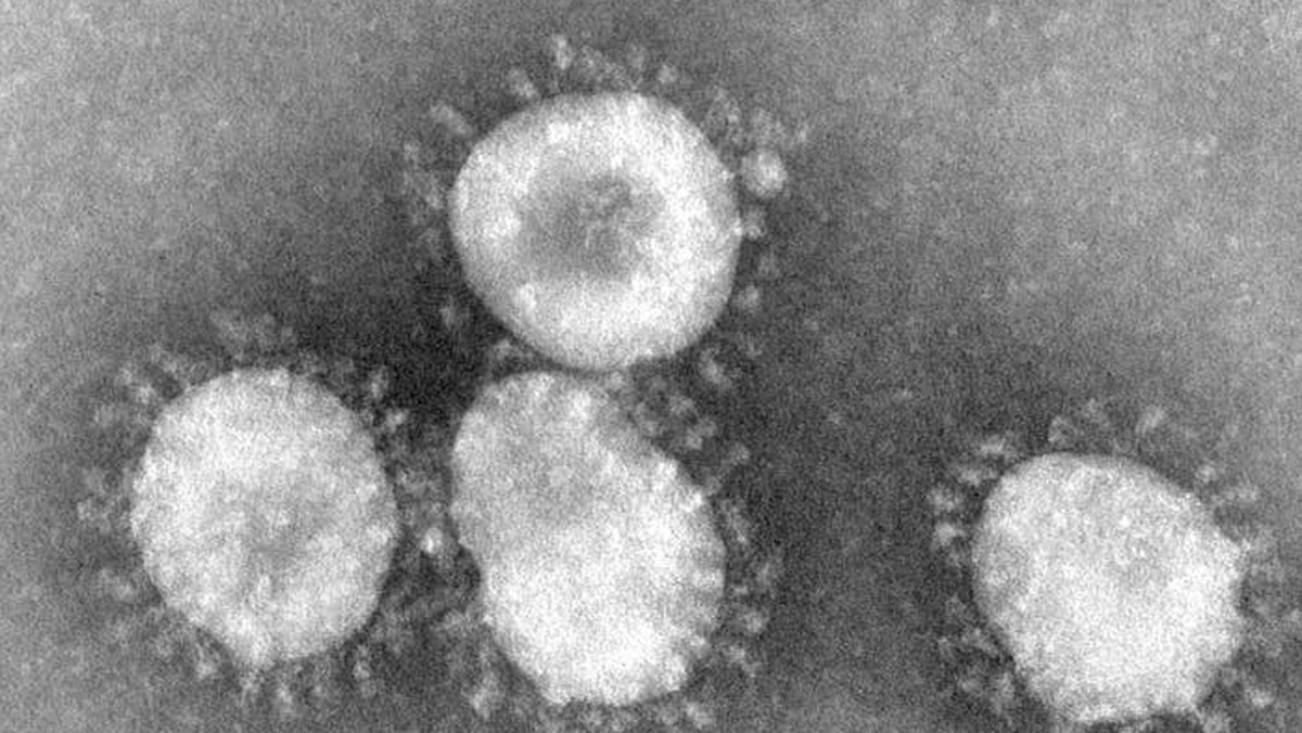 Koronawirus, który pojawił się w roku 2012 na Bliskim Wschodzie, nie stanowi na razie globalnego zagrożenia - uspokajają specjaliści na łamach "The Lancet".