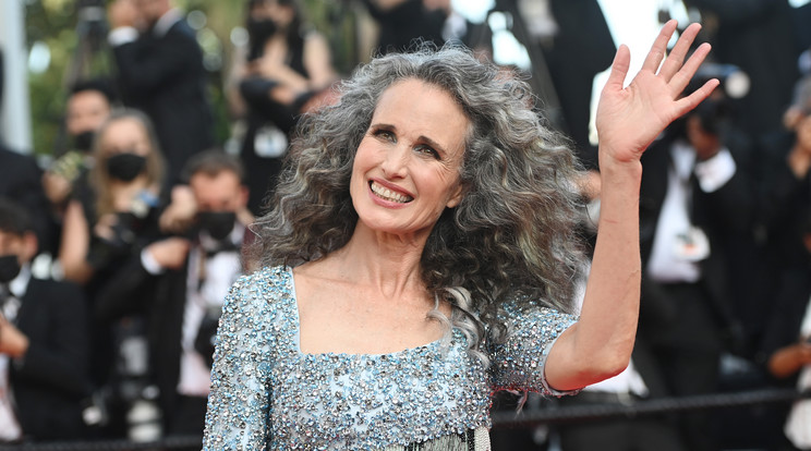 Andie MacDowell / Fotó: GettyImages