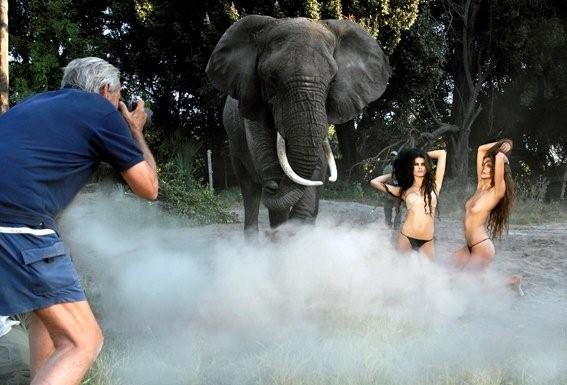 Dzika przyroda delty rzeki Okawango i Pustynia Kalahari w Botswanie posłużyła za tło elitarnej publikacji