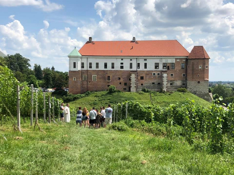 Winnica św. Jakuba w Sandomierzu 