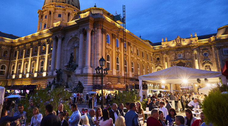 SPAR Borfesztival PR-kep2 orig /Fotó: SPAR, Budapest Borfesztivál