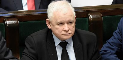 Nowy sondaż: PiS może stracić władzę! Jest tylko jeden warunek