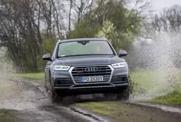 Audi Q5 2.0 TFSI - do turystyki i na co dzień