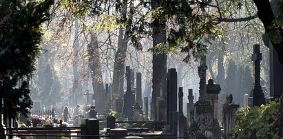 Likwidacja grobu na cmentarzu w Polsce, przedłużenie prawa do grobu - Jakie jest prawo?