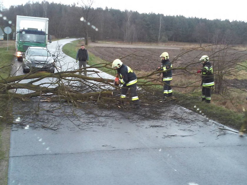 Usuwał powalone drzewo. Potrąciło go auto