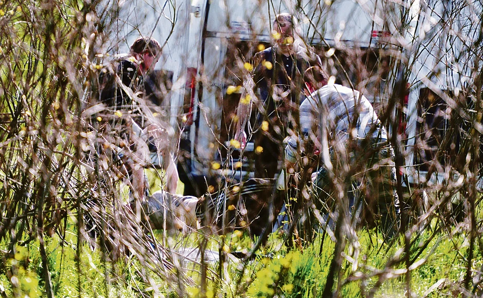 Ubistvo Jelene Marjanović