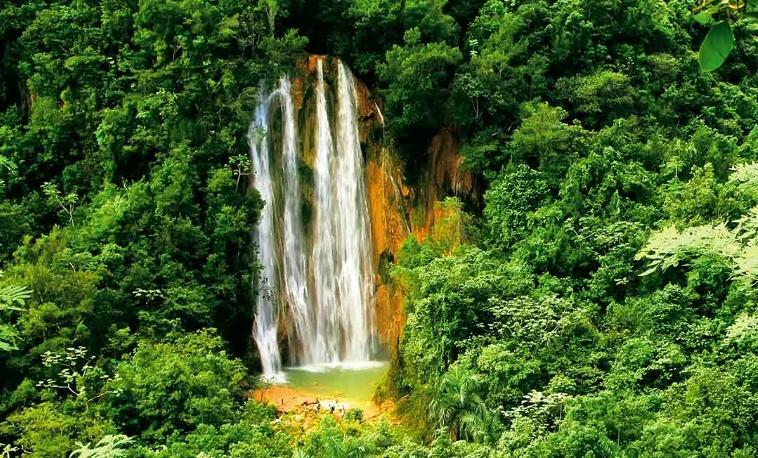 el limón waterfall and plantation punta cana