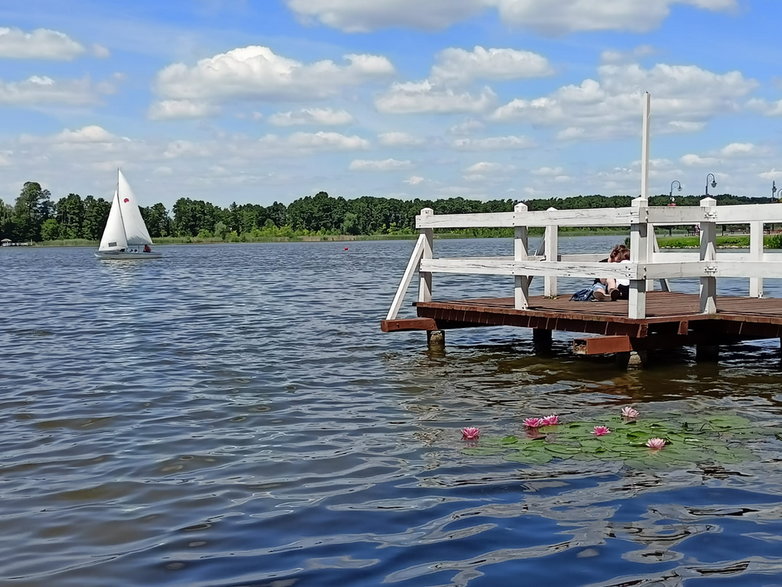 Jezioro Wolsztyńskie - molo i żaglówka 