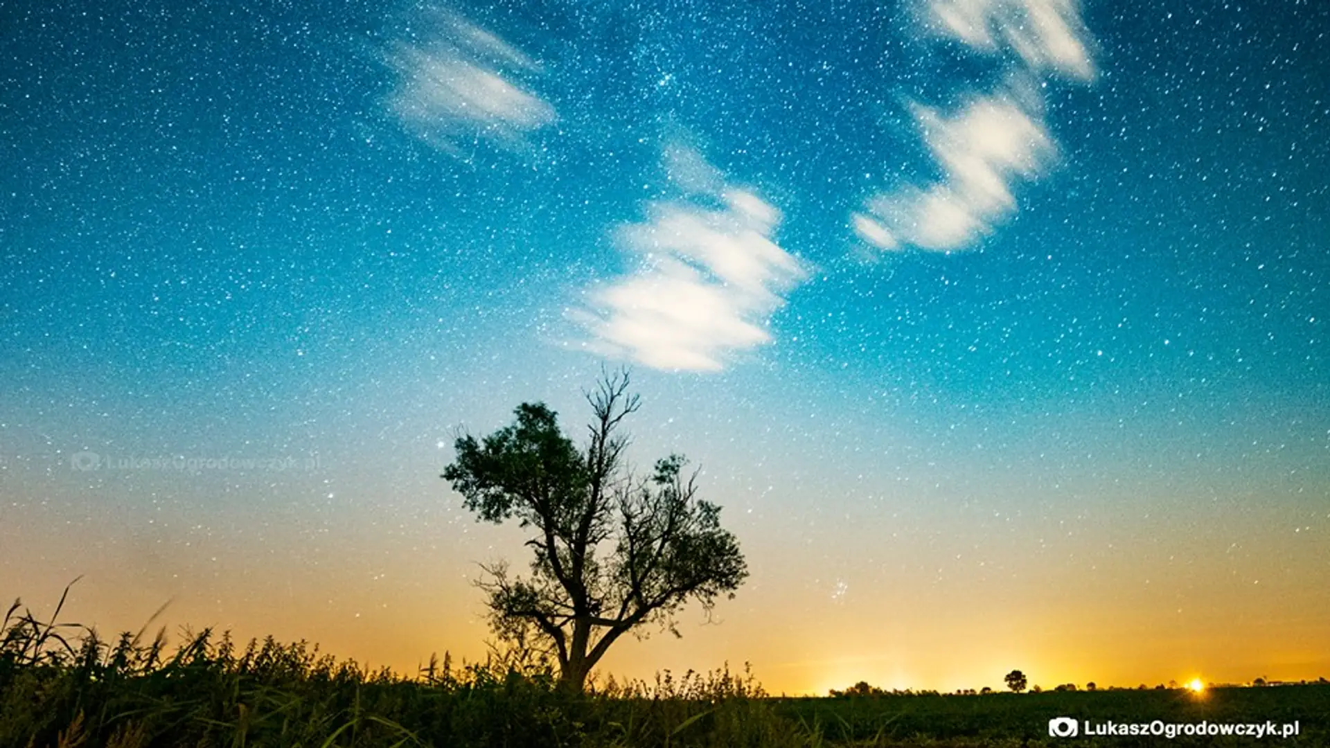 Perseidy na niebie nad Poznaniem podbijają świat