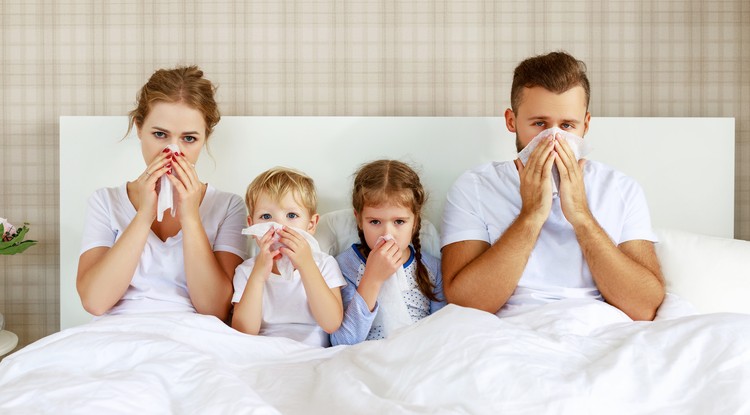 Fontos a nátha és az influenza megelőzése Fotó: Getty Images