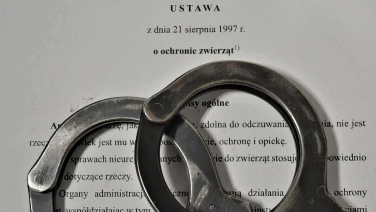 Lubuskie. 37-latka odpowie za znęcanie się nad psem