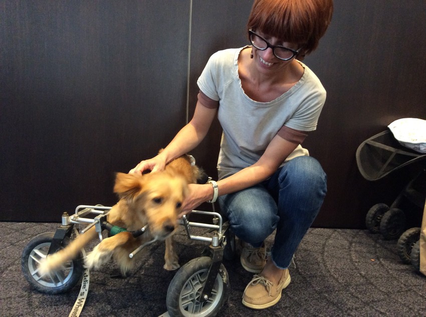 Jovanka Petrović i Boni