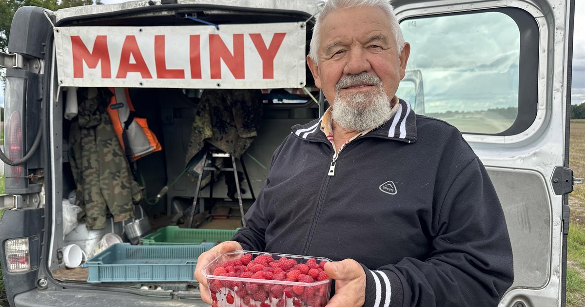 Plantatorzy załamują ręce. Chodzi o maliny
