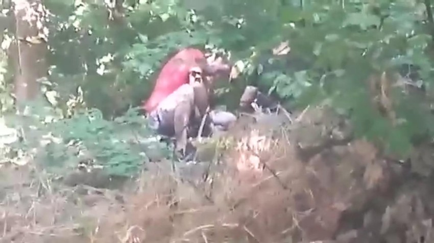 Narkomani se otvoreno drogiraju samo nekoliko metara od ulice kojom prolaze deca na putu do škole