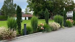 wąska rabata wzdłuż podjazdu. jakie bezproblemowe rośliny posadzić przed domem?