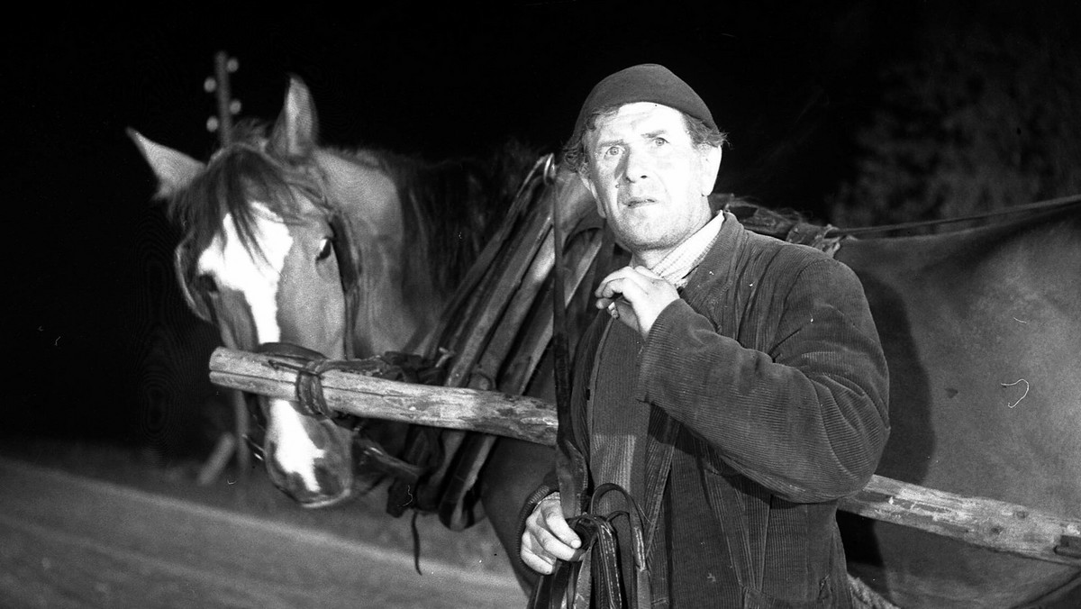 Film Tadeusza Chmielewskiego "Dwaj panowie N" z 1961 roku to drugi — po "Dotknięciu nocy" Stanisława Barei — powojenny polski film kryminalny.