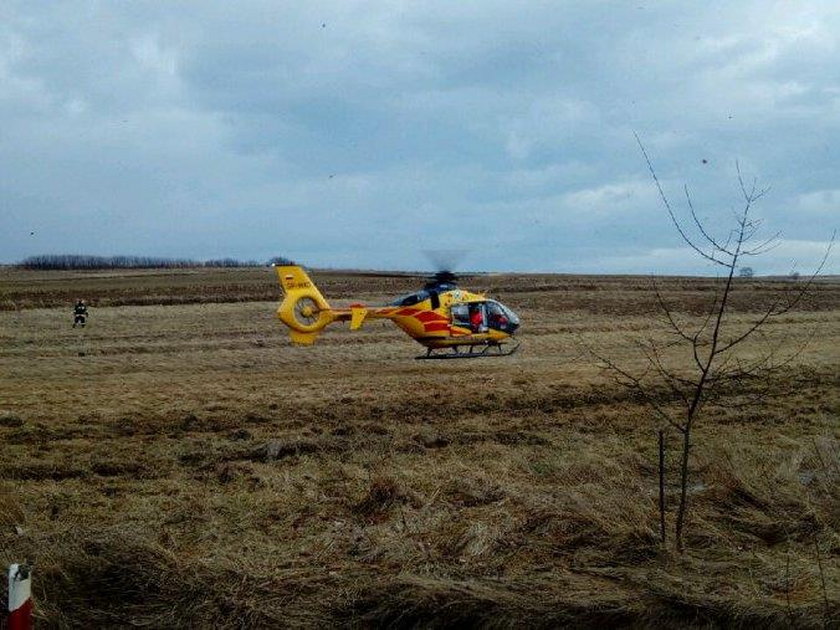 Kierująca z poważnymi obrażeniami została przetransportowana śmigłowcem Lotniczego Pogotowia Ratunkowego do szpitala w Rzeszowie