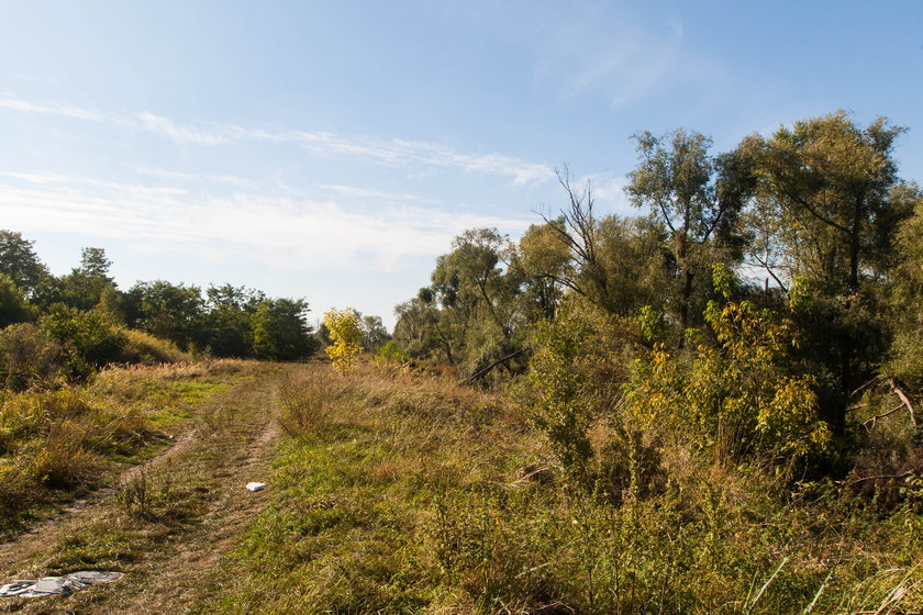 Powstanie nowa ścieżka rowerowa nad poznańską Wartą