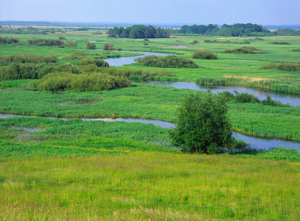 Biebrzański Park Narodowy