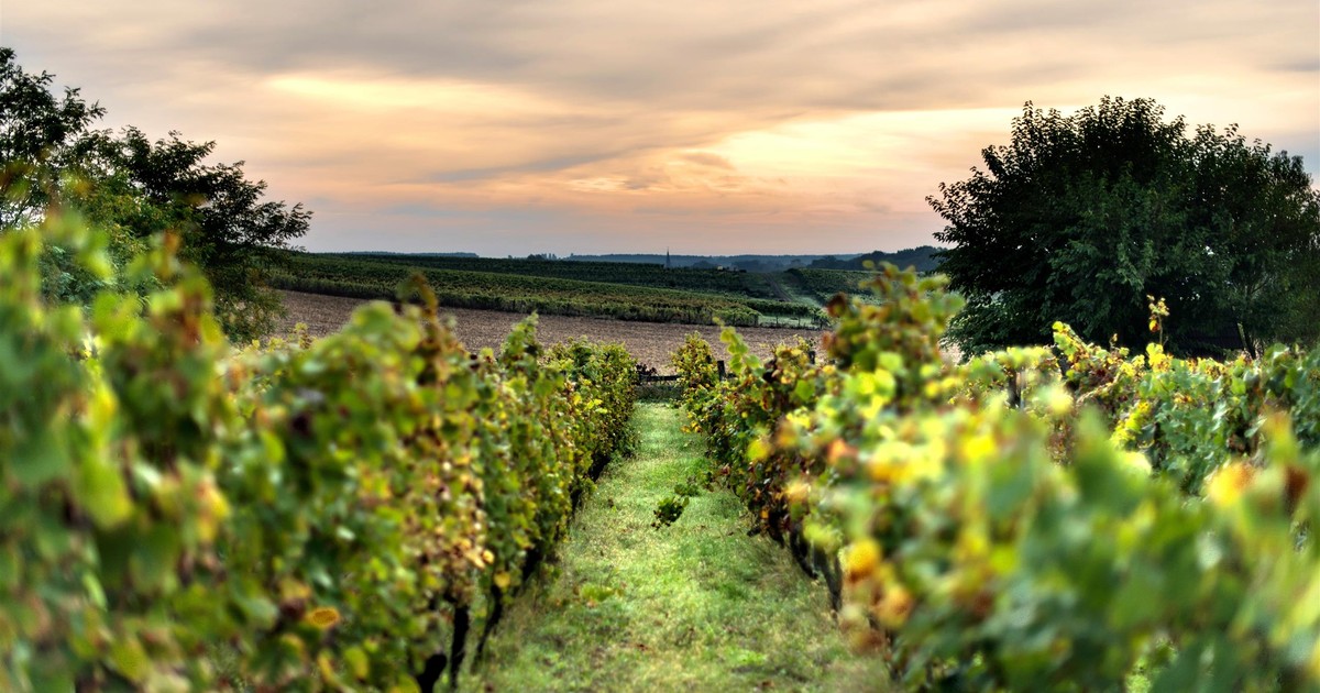 Dziennikarze CNN pieją z zachwytu nad "polską Toskanią". To miejsce może oczarować też jesienią
