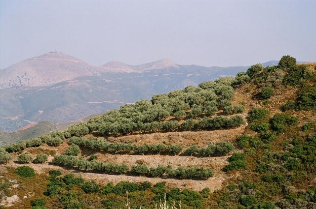 Galeria Grecja - Kreta i Santorini, obrazek 19