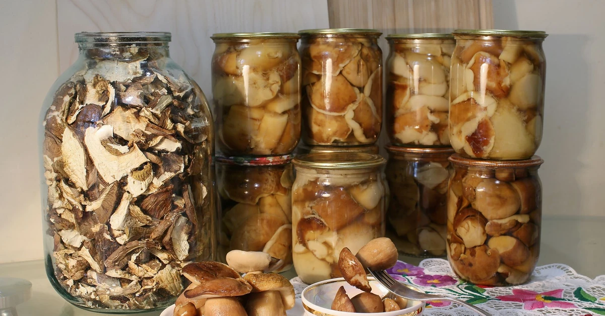 Marynowane grzyby. Przepis babci na najlepsze grzyby marynowane w occie
