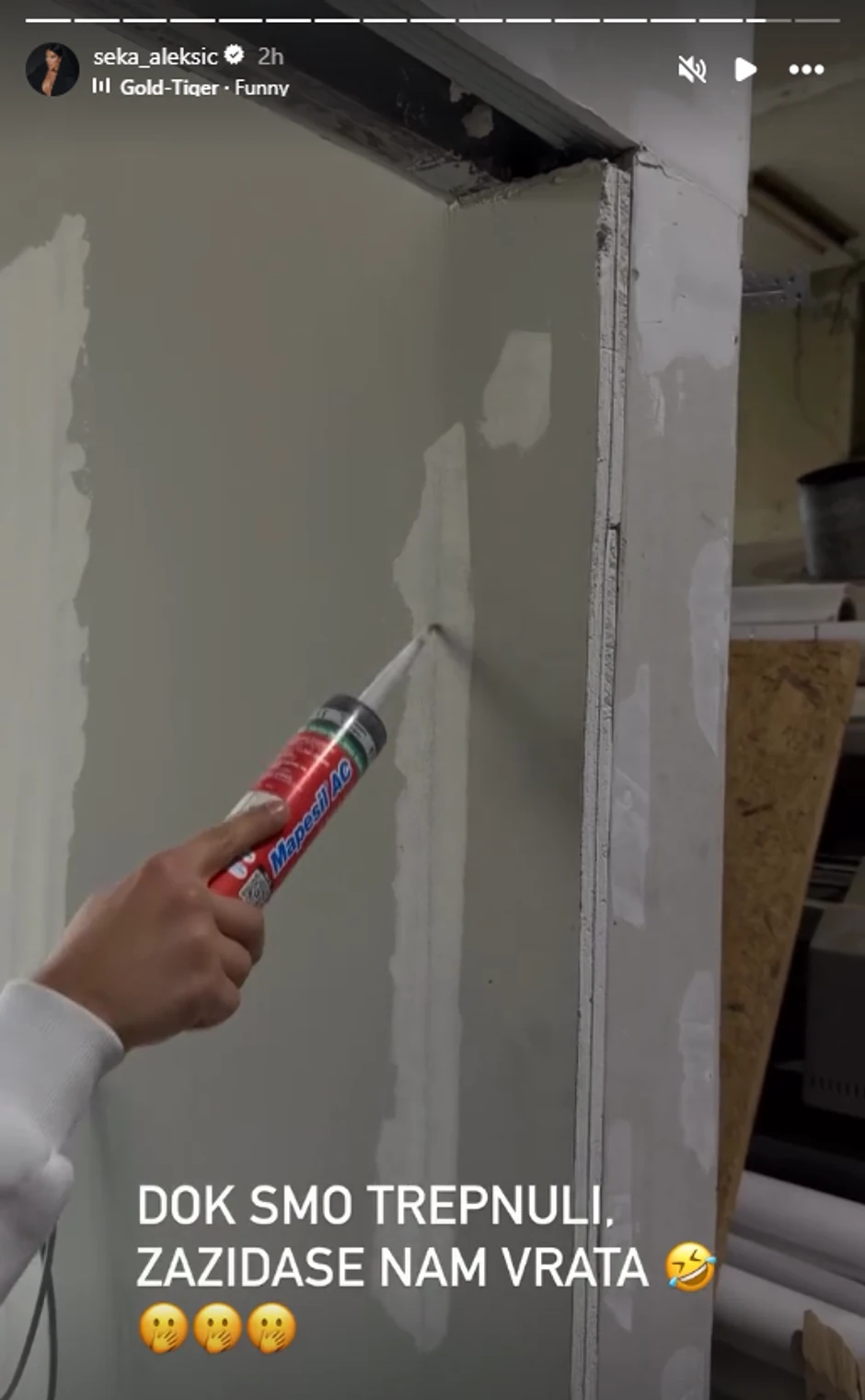 Seka Aleksić, objava