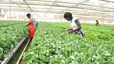 Uganda’s GDP growth hits 6.8% in first half of 2022/23 fiscal year