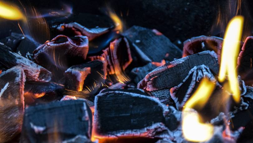 Beliebte Aschesauger für Kamin und Grill im Vergleich
