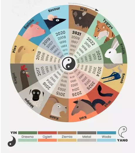 Chińskie znaki zodiaku – horoskop partnerski. Sprawdź, kto do ciebie pasuje  | Ofeminin