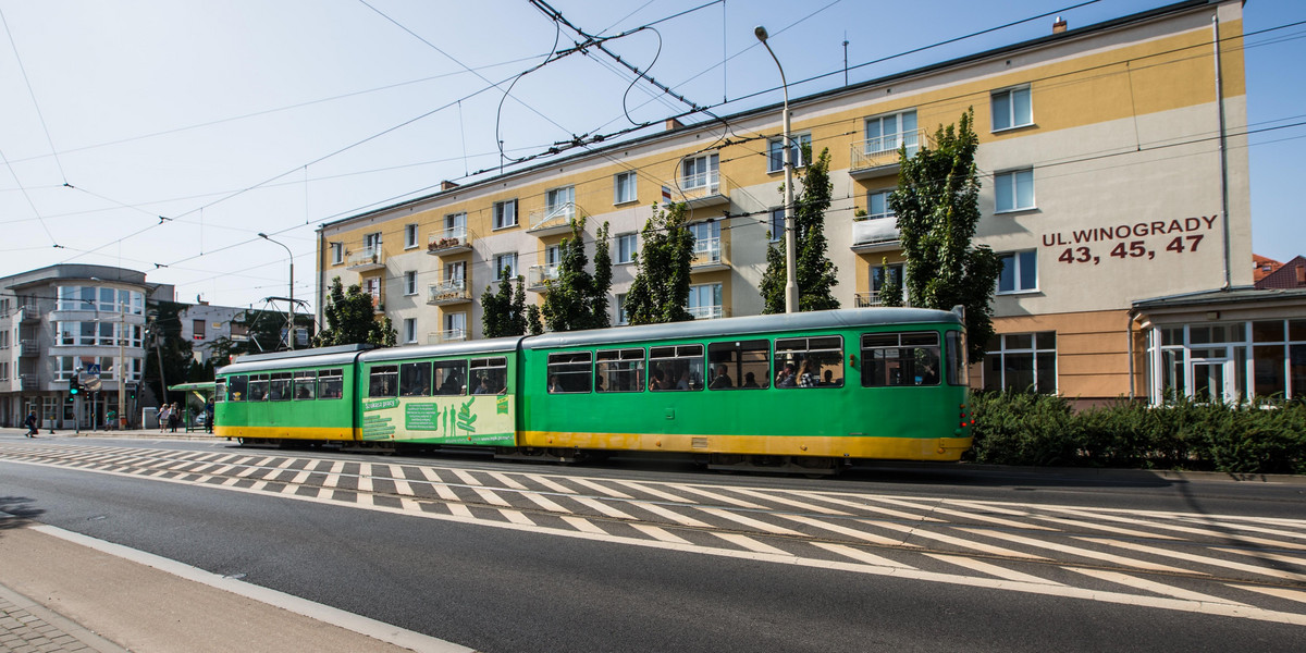 Tramwaje hałasują na Winogradach