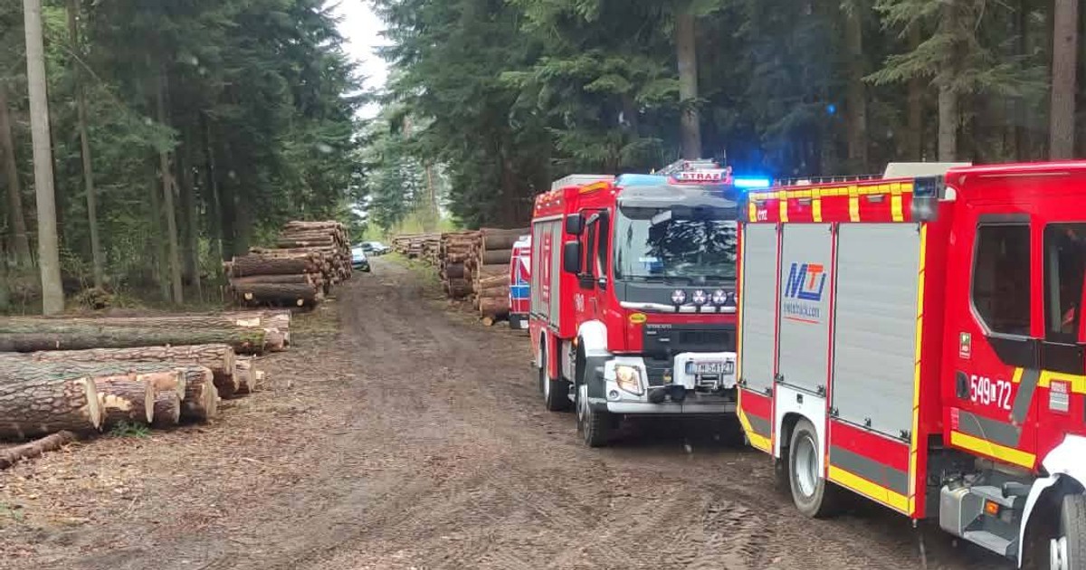 Tragedia w lesie pod Narolem: drugi brat zginął przy pracach drwali