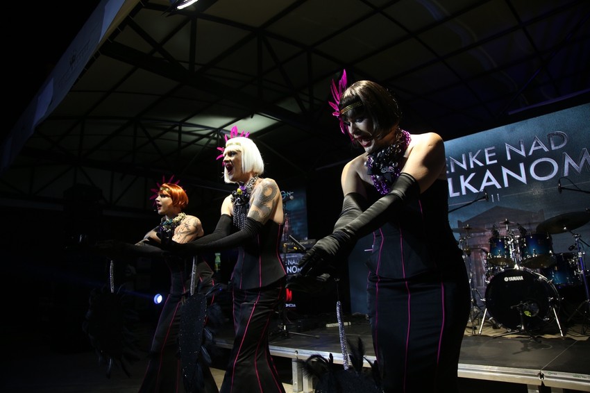 Dragan Bjelogrlić, žurka