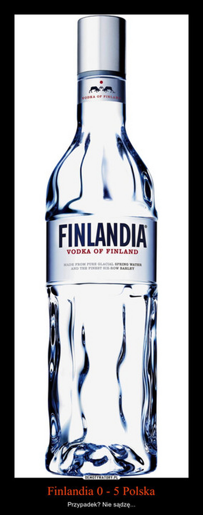 Polacy obalili Finlandię. Najlepsze memy! GALERIA
