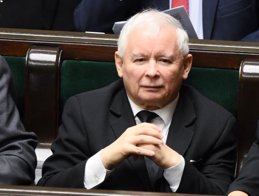 Polowanie w PiS. Szukają kobiet do rządu