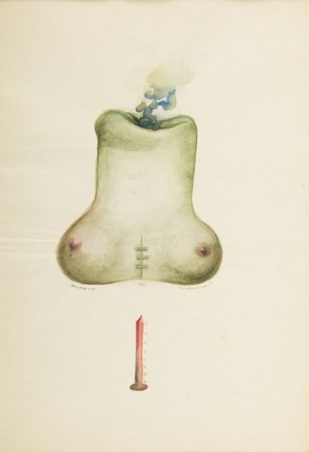 Franciszek Starowieyski / Bez tytułu