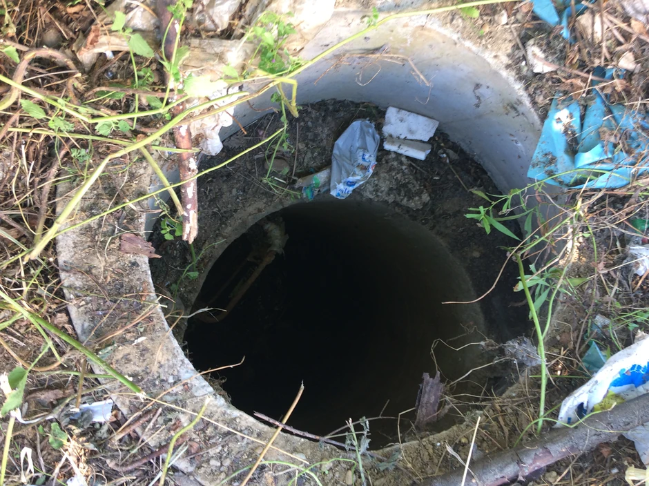 Nema ni traga od nestalih psića