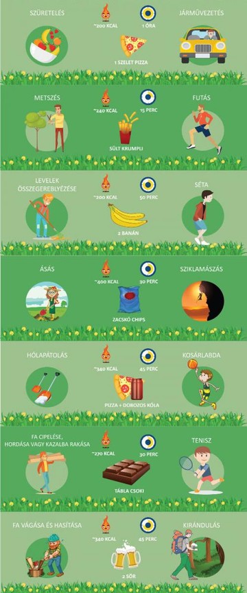 infografika600_02_1