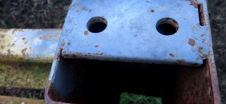 Botoks może spowolnić reakcję na bodźce. Czym jest ucieleśnione poznanie?