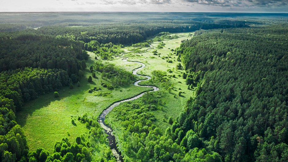 Głos Polski zaważył — kluczowe głosowanie odwołane. Fot. Shaiith/Shutterstock