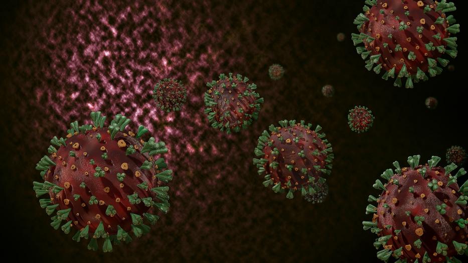 NNK: enyhén nő a koronavírus-örökítőanyag mennyisége a szennyvízben /Illusztráció: Pixabay