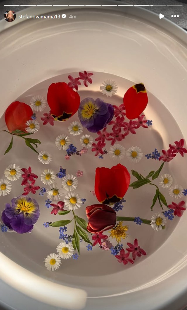 Milica Dabović (Foto: Instagram)