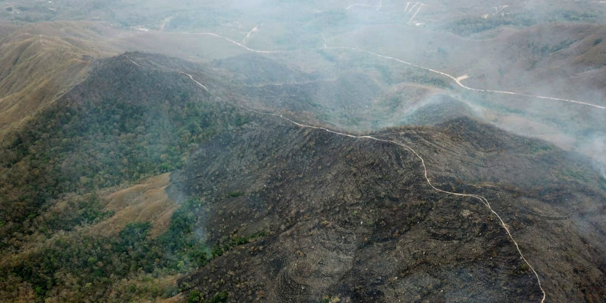 Pożary tropikalnych lasów deszczowych w Amazonii zdarzają się o tej porze roku. Część z nich jest celowo wzniecana przez farmerów, którzy chcą w ten sposób powiększyć swoje pastwiska i pola uprawne. Jednak według oficjalnych danych pożary są w tym roku większe o 83 proc. w porównaniu z takim samym okresem w 2018 roku. 