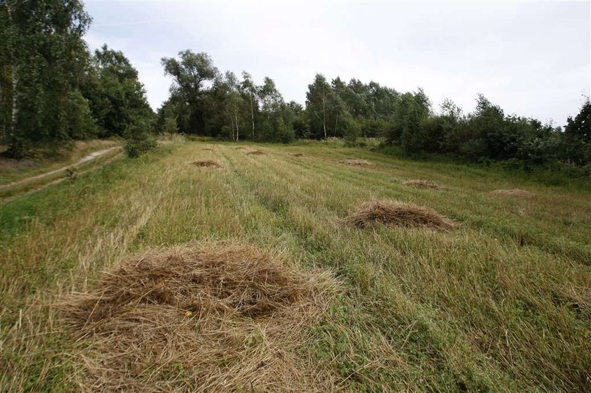 Chłopiec zgubił sie i odnalazł